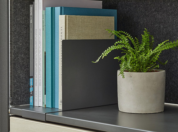 a plant and books on a shelf