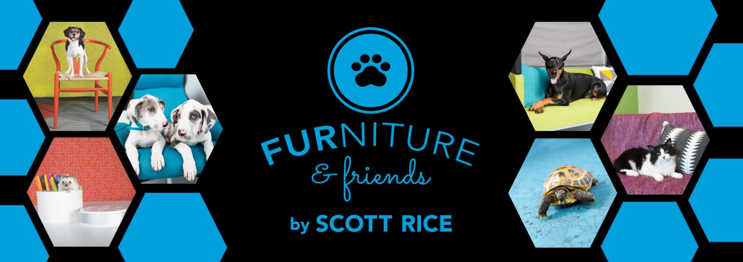 Scott Rice FURniture + Friends Scott Rice