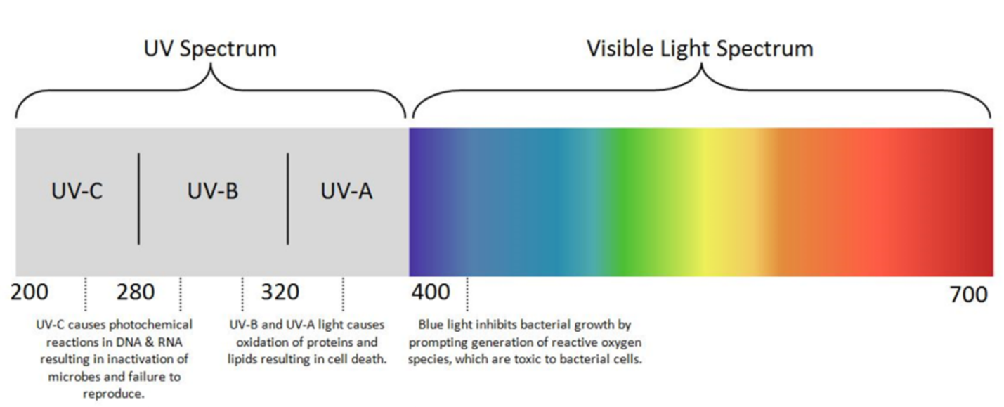 Be Well 20/20: UV Lighting + Disinfection - Scott Rice